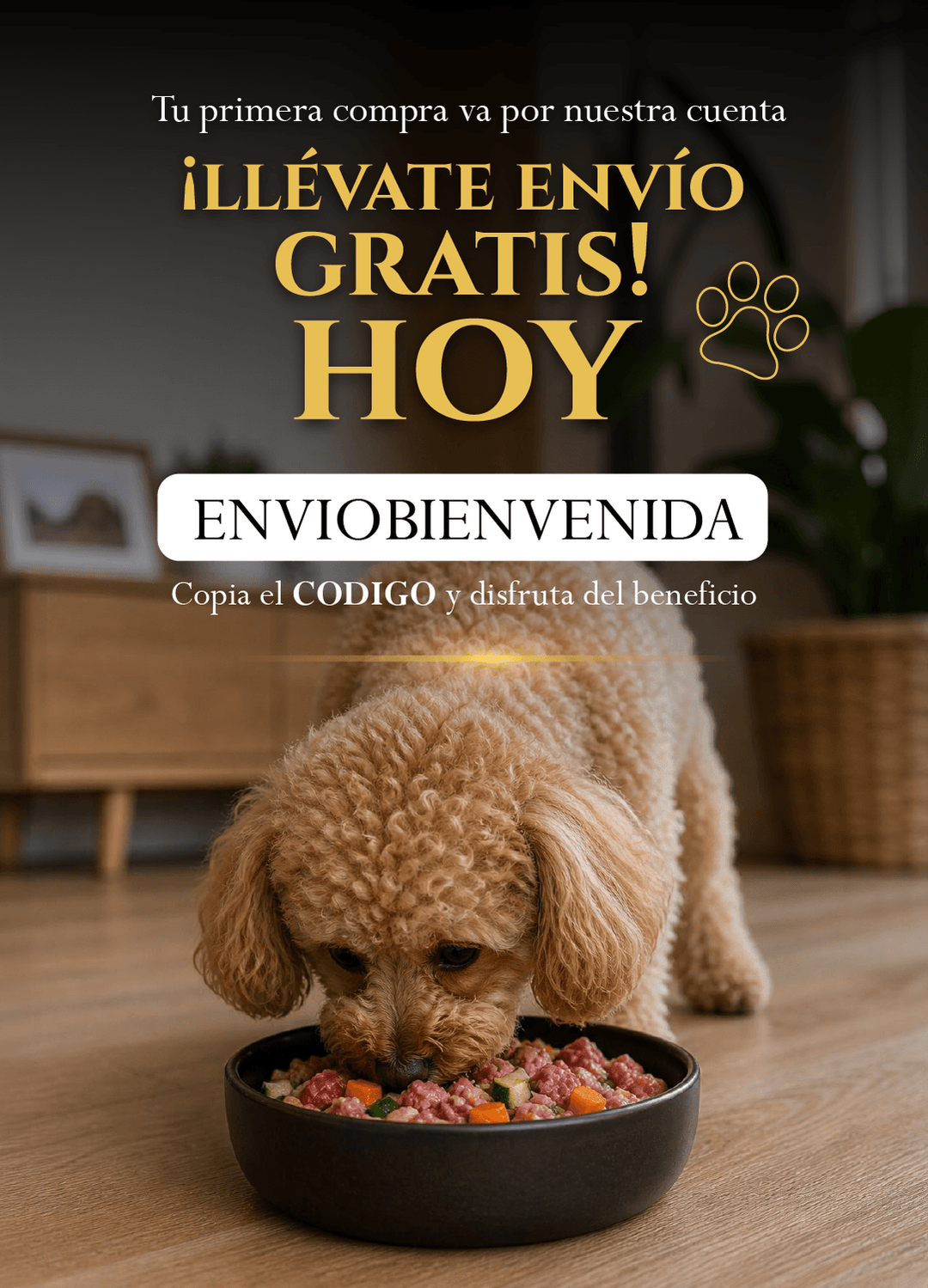 Promoción Golden Barf