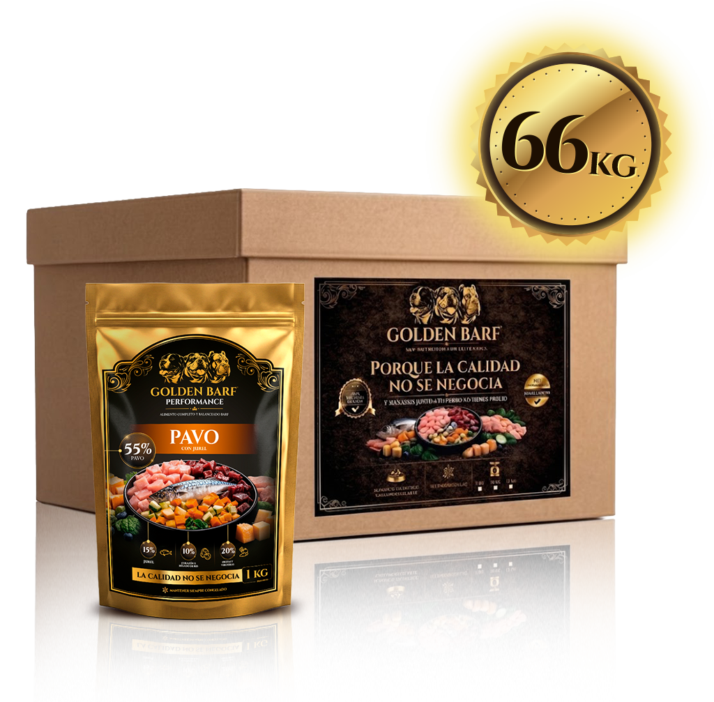 GOLDEN POWER - 66kg