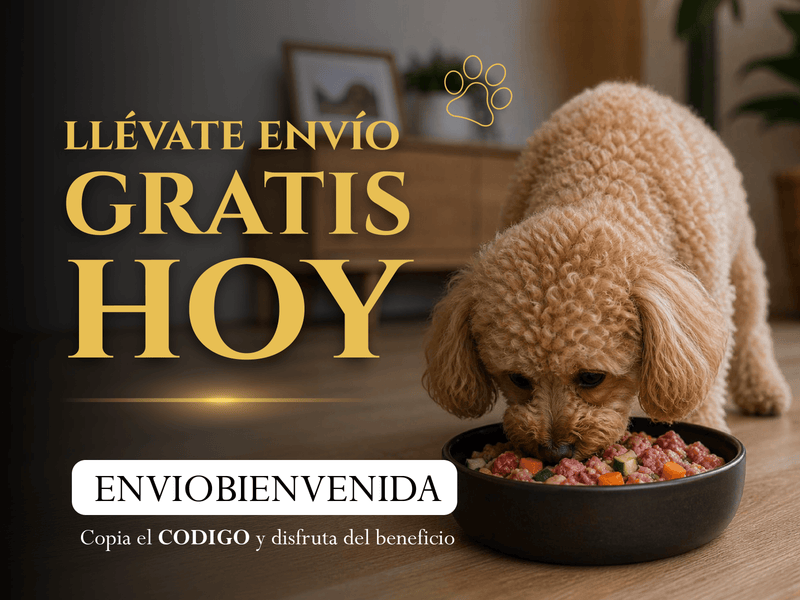 Promoción Golden Barf